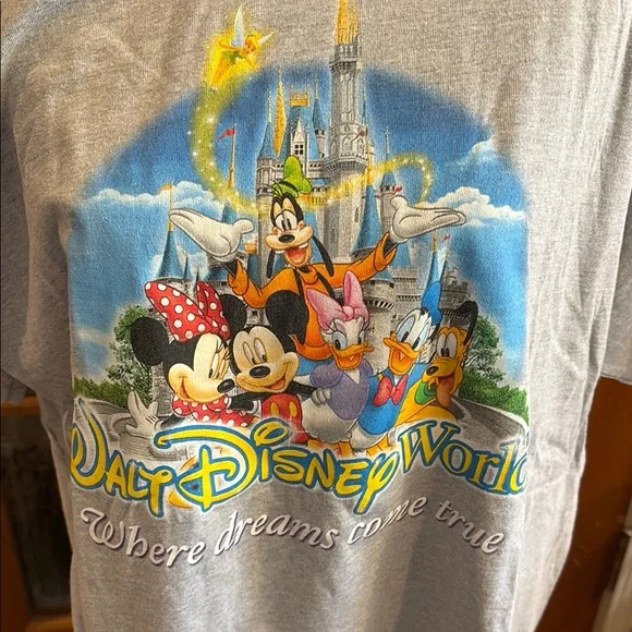 Gray Men’s Walt Disney World T-Shirt, XL - Picture 2 of 3